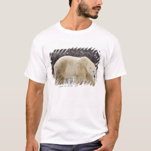 Polar Bear Ursus maritimus) in Churchill T-Shirt