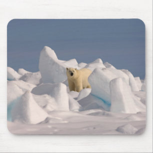 polar bear, Ursus maritimus, in rough ice Mouse Pad