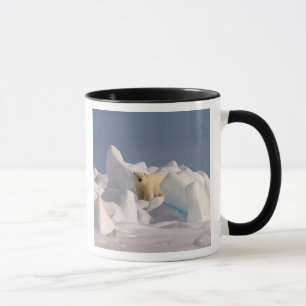 polar bear, Ursus maritimus, in rough ice Mug