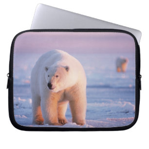 polar bear, Ursus maritimus Laptop Sleeve