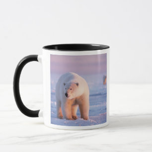 polar bear, Ursus maritimus Mug