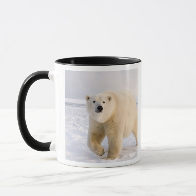 polar bear, Ursus maritimus, on ice and snow, 2 Mug (Left)