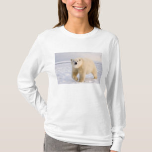 polar bear, Ursus maritimus, on ice and snow, 2 T-Shirt
