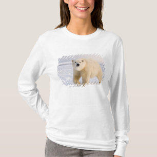 polar bear, Ursus maritimus, on ice and snow, 2 T-Shirt