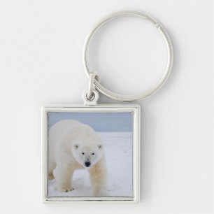 polar bear, Ursus maritimus, on ice and snow, Key Ring