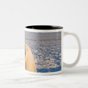 polar bear, Ursus maritimus, on ice and snow, Two-Tone Coffee Mug