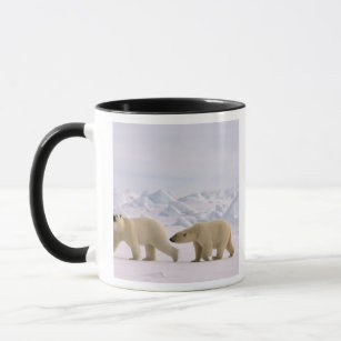 polar bear, Ursus maritimus, pair in rough ice Mug