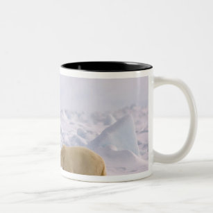 polar bear, Ursus maritimus, pair in rough ice Two-Tone Coffee Mug
