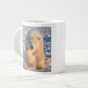 polar bear, Ursus maritimus, polar bear on ice Large Coffee Mug