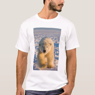 polar bear, Ursus maritimus, polar bear on ice T-Shirt