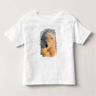 polar bear, Ursus maritimus, polar bear on ice Toddler T-Shirt