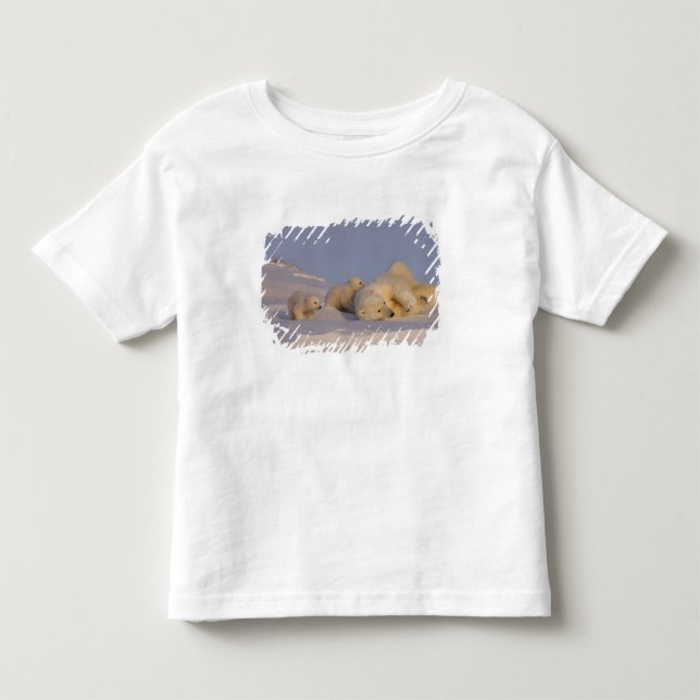 polar bear, Ursus maritimus, sow playing Toddler T-Shirt (Front)