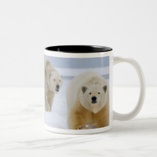 polar bear, Ursus maritimus, sow with cubs on Two-Tone Coffee Mug