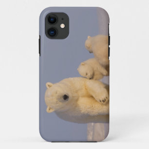 polar bear, Ursus maritimus, sow with newborn iPhone 11 Case