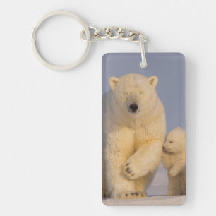 polar bear, Ursus maritimus, sow with newborn Key Ring