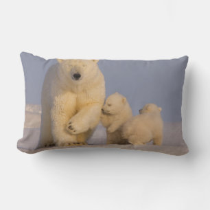 polar bear, Ursus maritimus, sow with newborn Lumbar Cushion