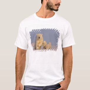 polar bear, Ursus maritimus, sow with newborn T-Shirt