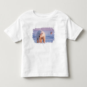 polar bear, Ursus maritimus Toddler T-Shirt