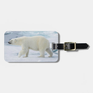 Polar bear walking, Norway Luggage Tag