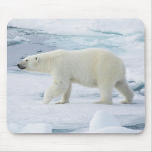 Polar bear walking, Norway Mouse Pad