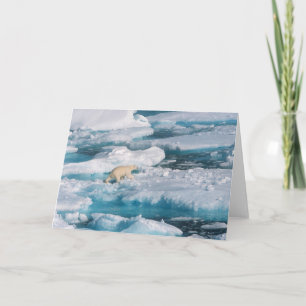Polar Bear walking on the Sea Card