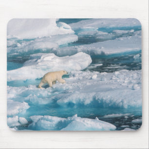 Polar Bear walking on the Sea Mouse Pad