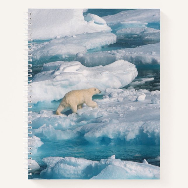 Polar Bear walking on the Sea Notebook (Front)