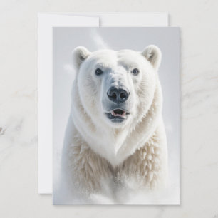 Polar Bear Wild Animal Elegant Dramatic Portrait  Announcement