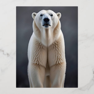 Polar Bear Wildlife Majestic Nature Life Wallpaper Foil Holiday Postcard