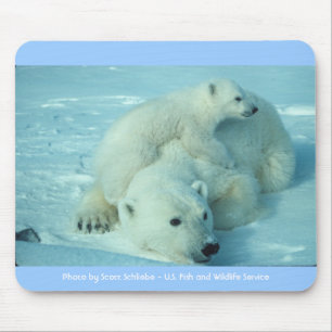 Polar bear with cub mouse pad