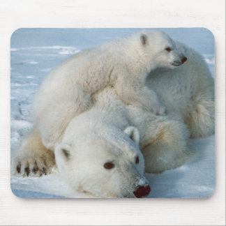 Polar_bear_with_cub Mouse Pad