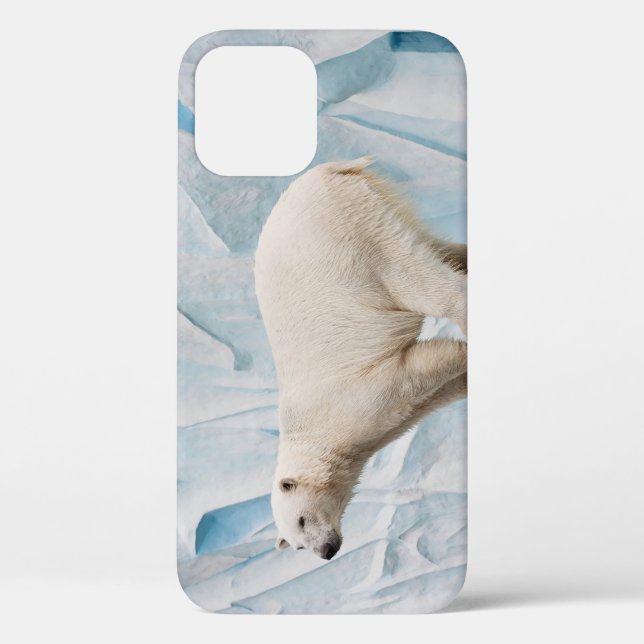Polar Bear: Zoo Habitat Glimpse Case-Mate iPhone Case (Back)