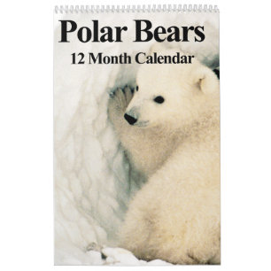 Polar Bears - 12 Month Calendar