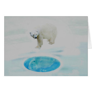 Polar bears alone