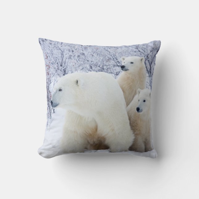 Polar Bears and Two cubs Cushion (Front)