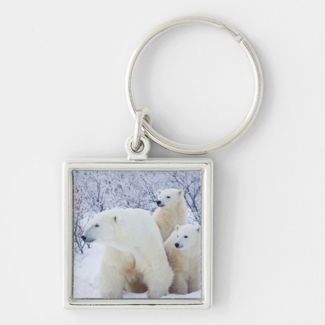 Polar Bears and Two cubs Key Ring (Front)