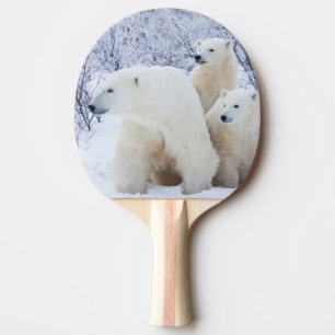 Polar Bears and Two cubs Ping Pong Paddle