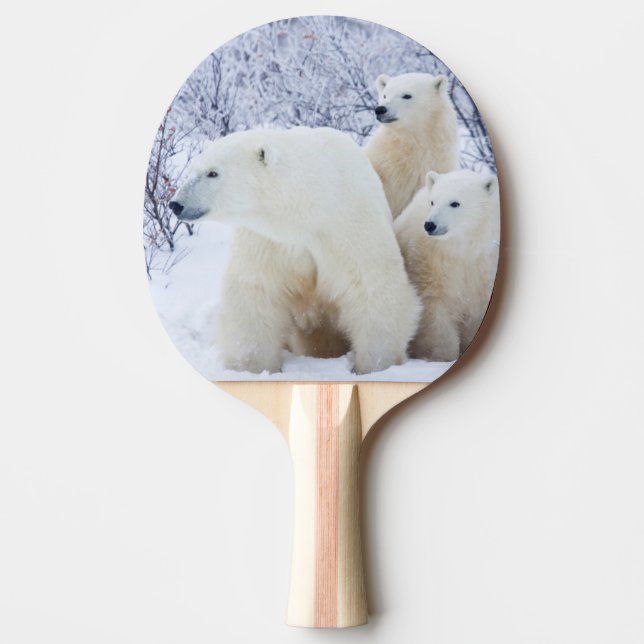 Polar Bears and Two cubs Ping Pong Paddle (Front)