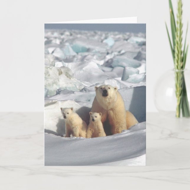Polar Bears Arctic Wildlife Blank Greeting Card (Front)
