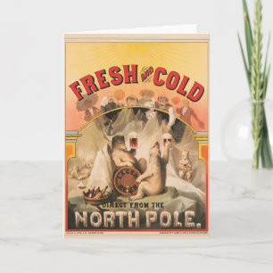 Polar Bears Are Enjoying Mugs Of Lager Beer Card