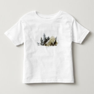 Polar Bears At Wapusk National Park Toddler T-Shirt