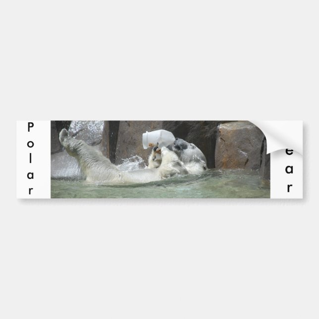 Polar Bears Bumper Sticker (Front)