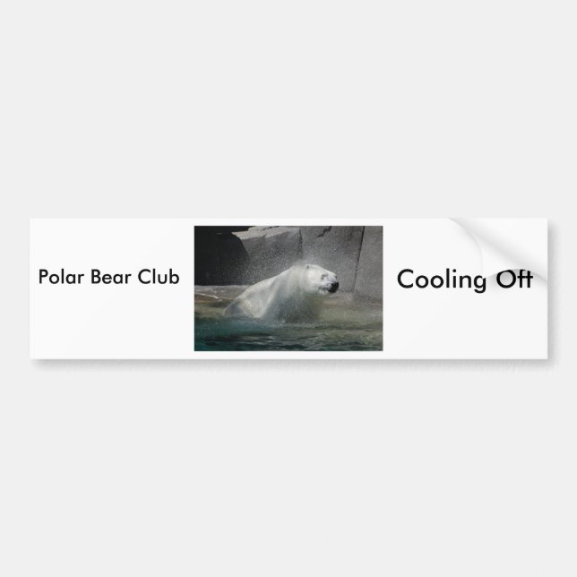 Polar Bears Bumper Sticker (Front)