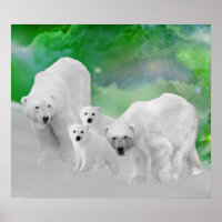 Polar Bears, cubs and northern lights