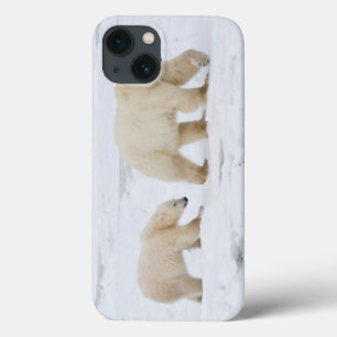 Polar Bears female and Two cubs 2 iPhone 13 Case