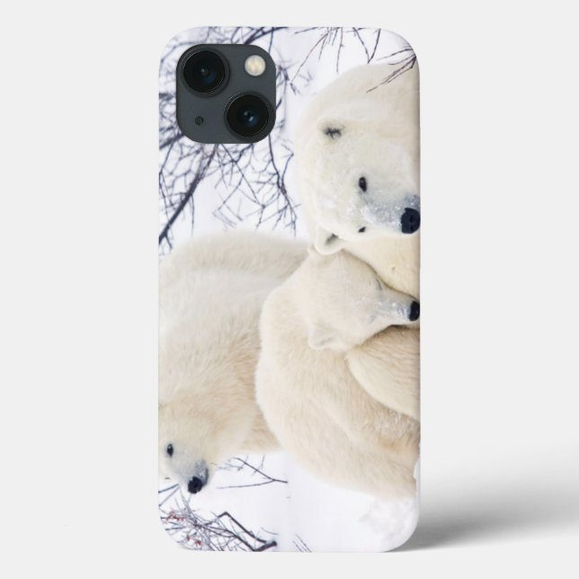 Polar Bears female and Two cubs Case-Mate iPhone Case (Back)