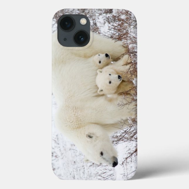 Polar Bears female and Two cubs Case-Mate iPhone Case (Back)