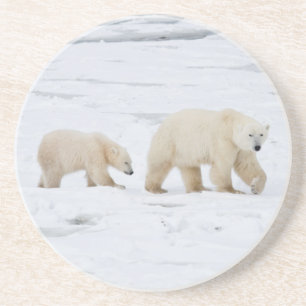 Polar Bears female and Two cubs Coaster