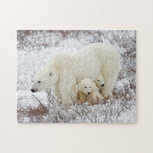 Polar Bears female and Two cubs Jigsaw Puzzle