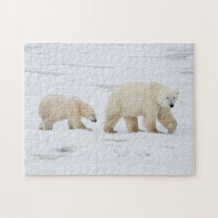 Polar Bears female and Two cubs Jigsaw Puzzle